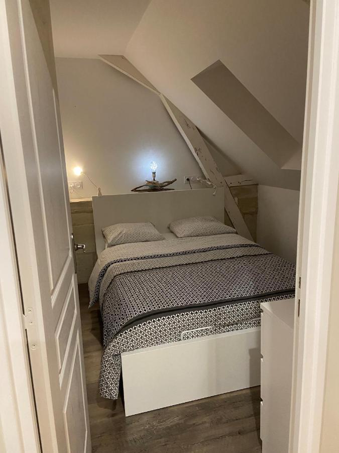 Appartement Du Chateau De La Caillerie Avoine Exteriér fotografie